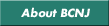 About BioNJ