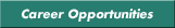 Career Opportunities